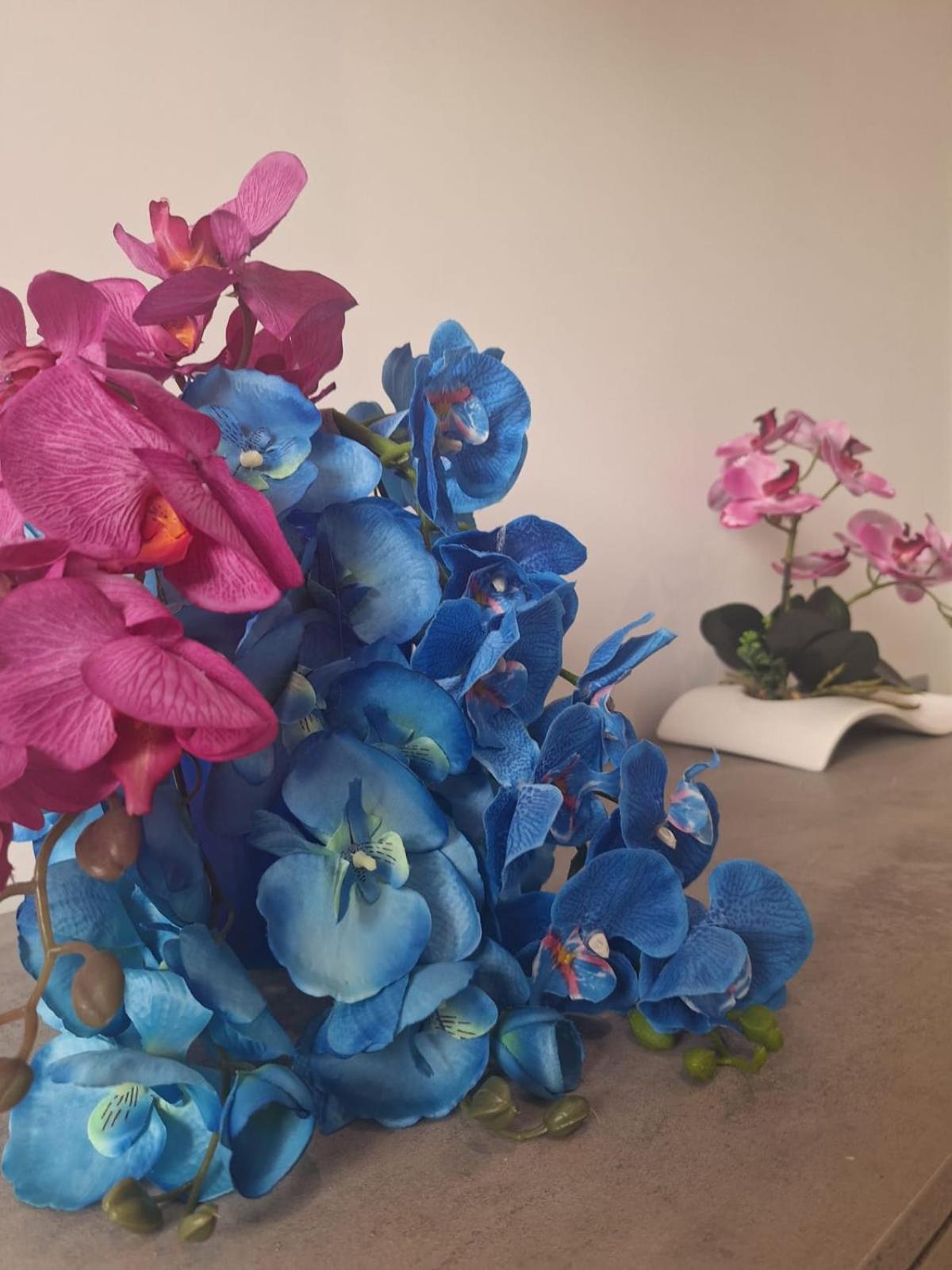 סן אנג'לו Grazia'S Home מראה חיצוני תמונה