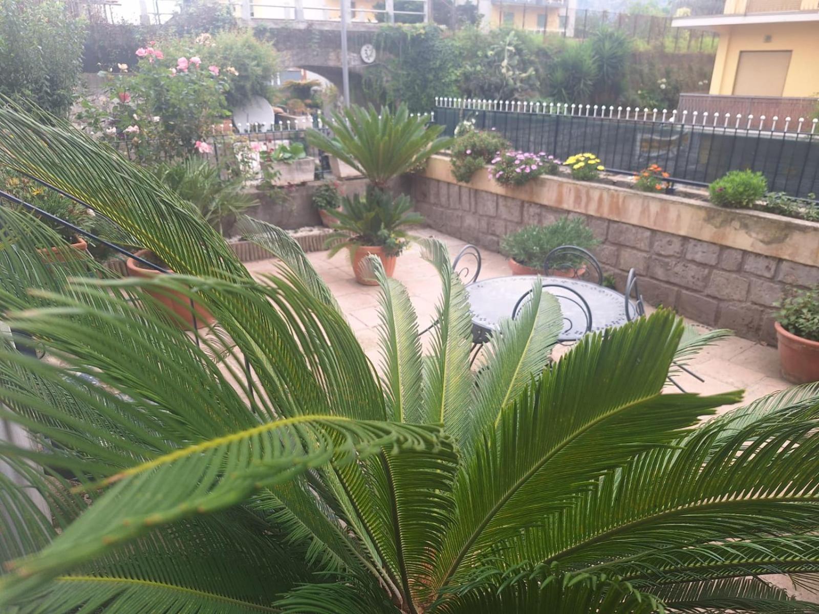 סן אנג'לו Grazia'S Home מראה חיצוני תמונה