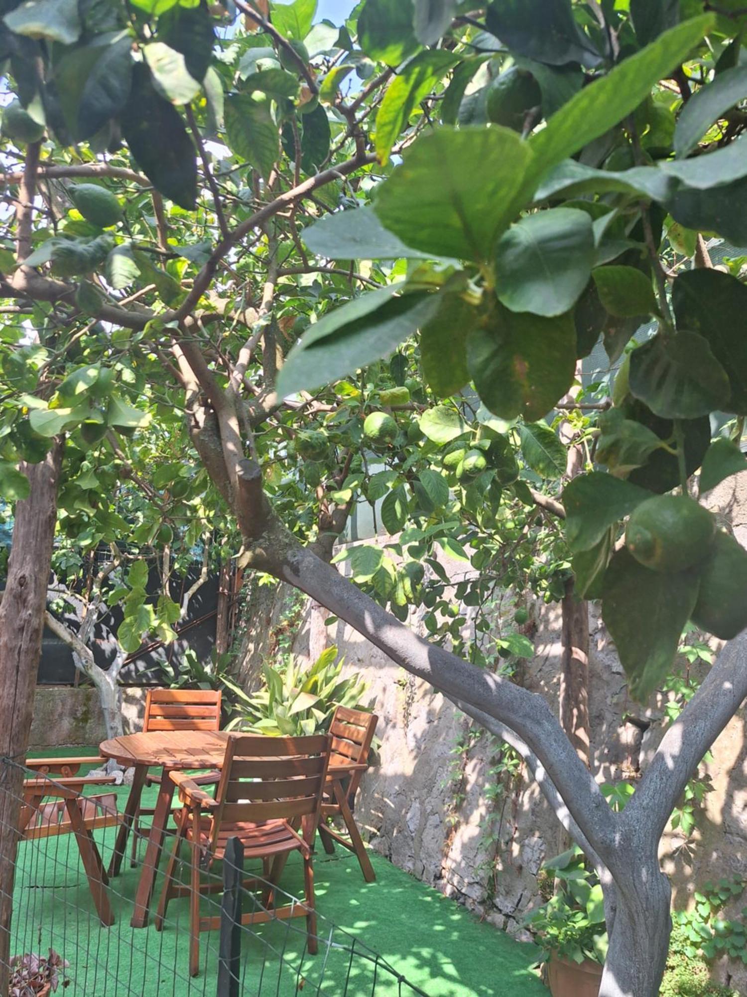 סן אנג'לו Grazia'S Home מראה חיצוני תמונה